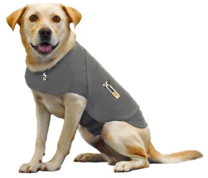 Thundershirt for dog