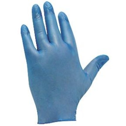Vinyl gloves x 100