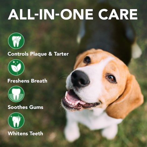 Vet's Best Dog Dental Care Kit control plaque, tarter, ease stinky breath