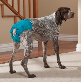 Simple Solution Diaper garment for bitches in heat, or incontinent dogs