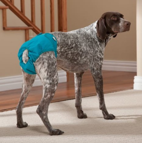 Simple Solution Diaper garment for bitches in heat, or incontinent dogs