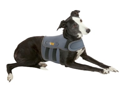 Petlife Karma Wrap 5 sizes