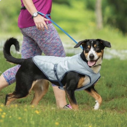 Kurgo dog cooling coat